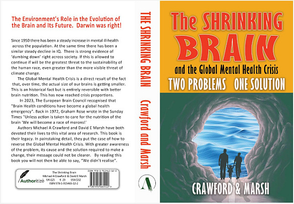 Shrinking Brain book cover